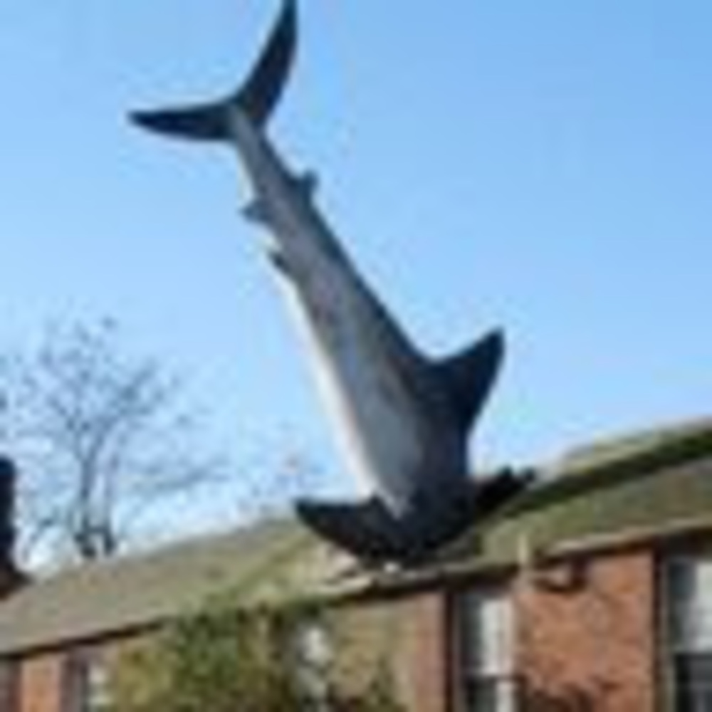 Meet your Posher, Steven